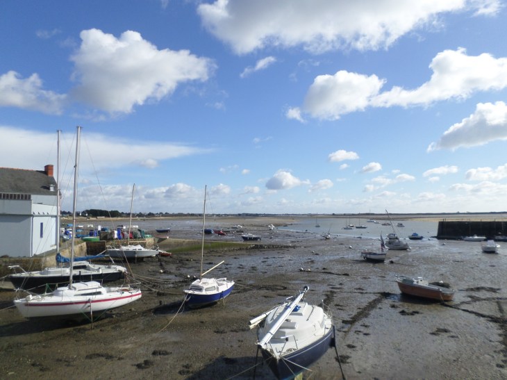 SAMSUNG CAMERA PICTURES