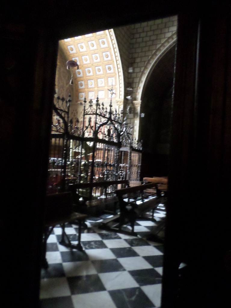 SAMSUNG CAMERA PICTURES