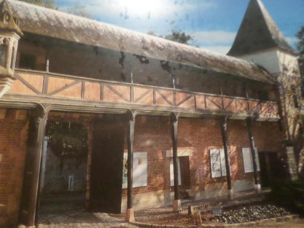 SAMSUNG CAMERA PICTURES