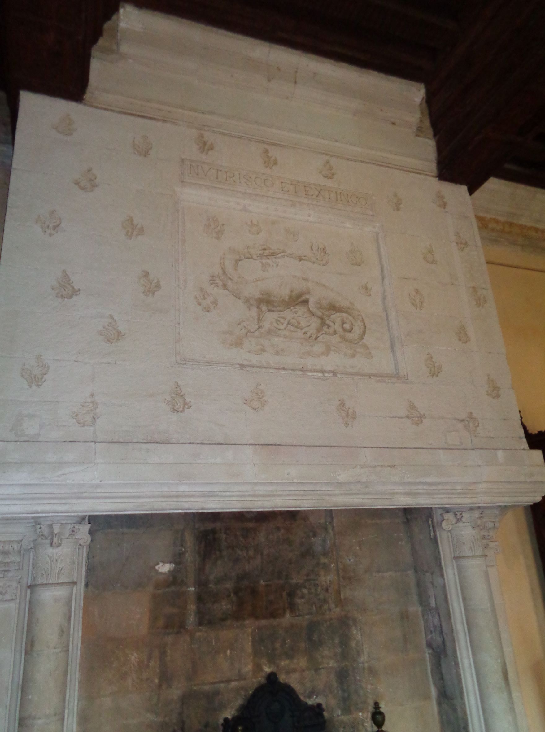 Azay le Rideau castle salamander chimney jan22