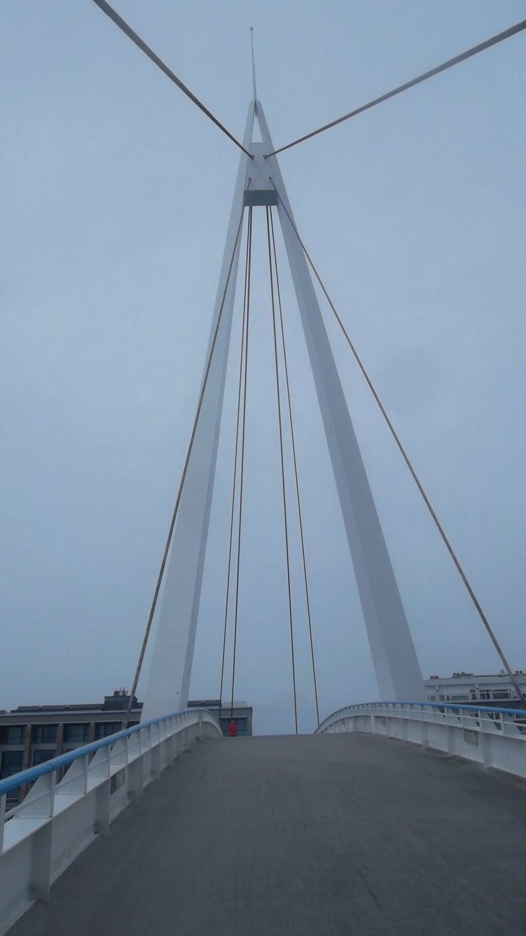 le havre bassin du commerce on arch my13