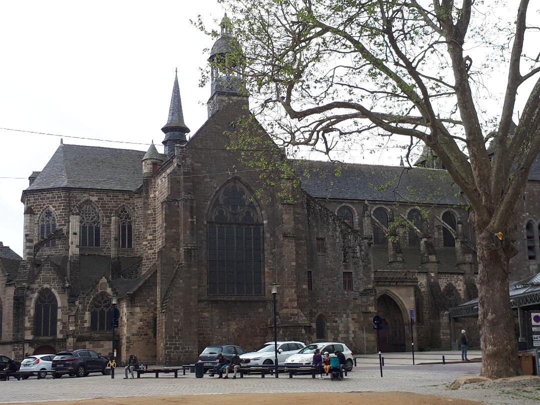 st bri Cat st etienne side left may21