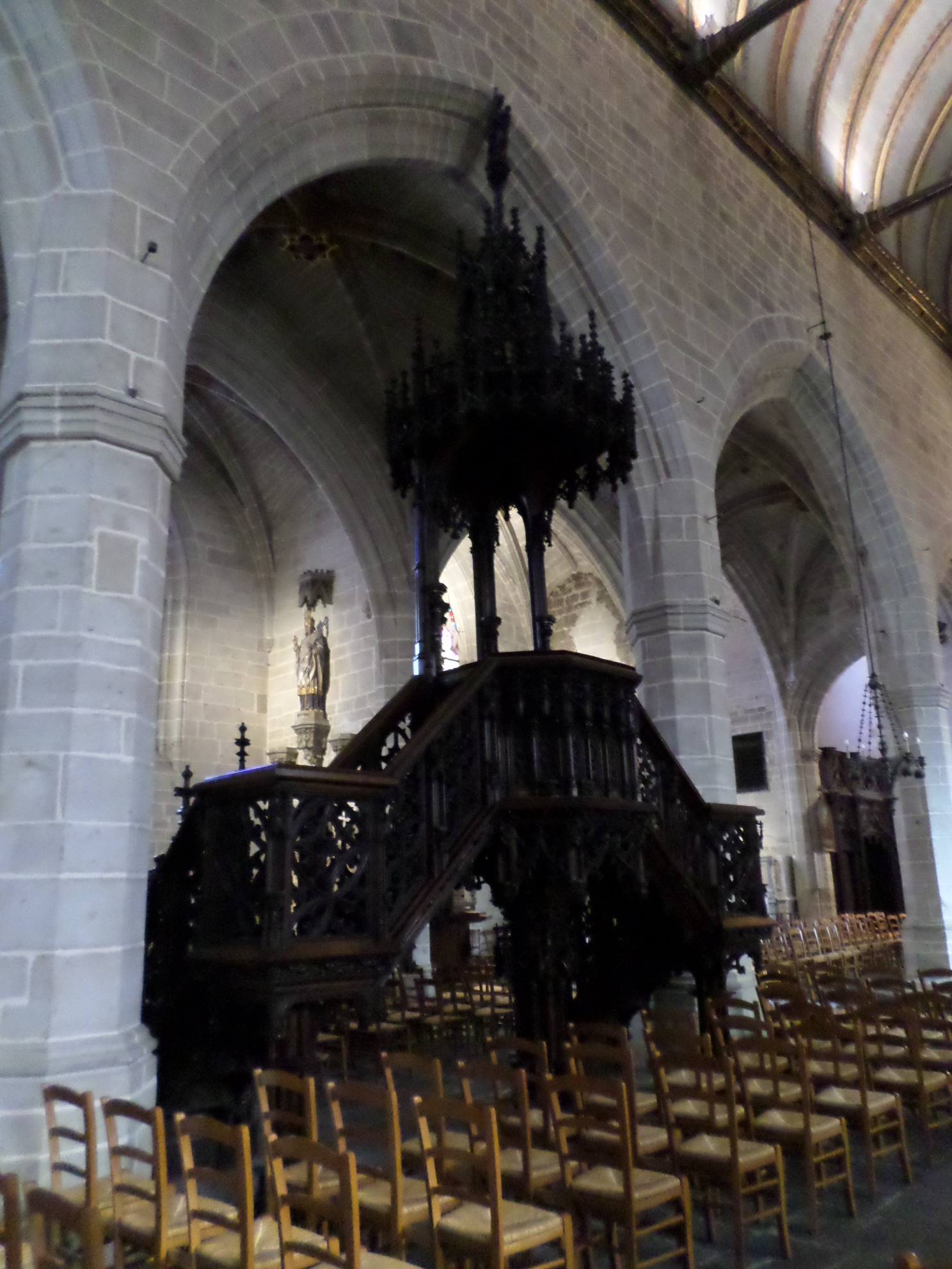 SAMSUNG CAMERA PICTURES