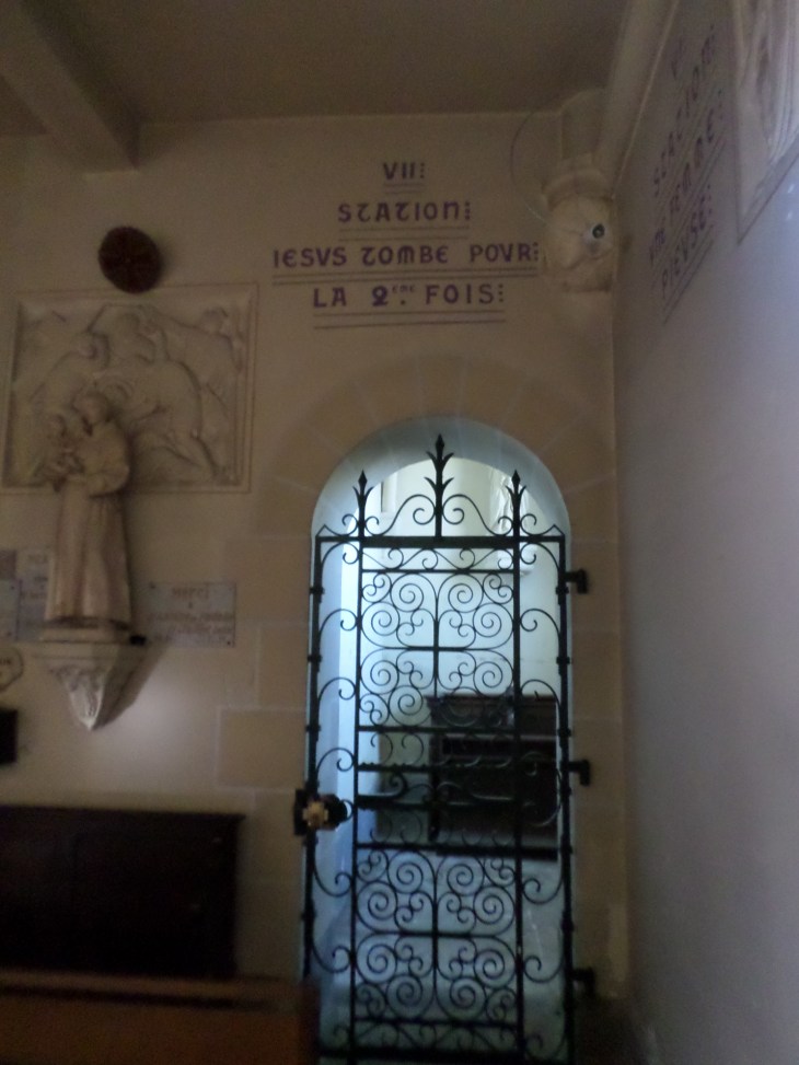 SAMSUNG CAMERA PICTURES