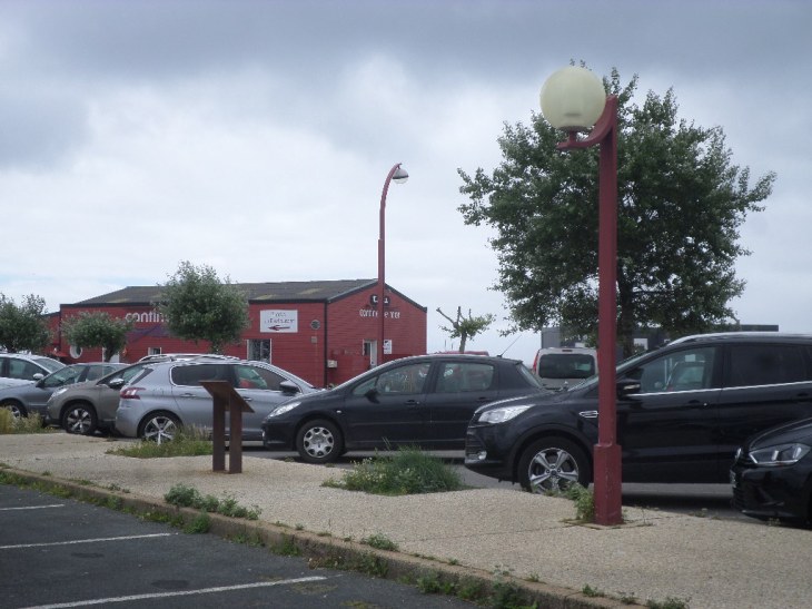 SAMSUNG CAMERA PICTURES