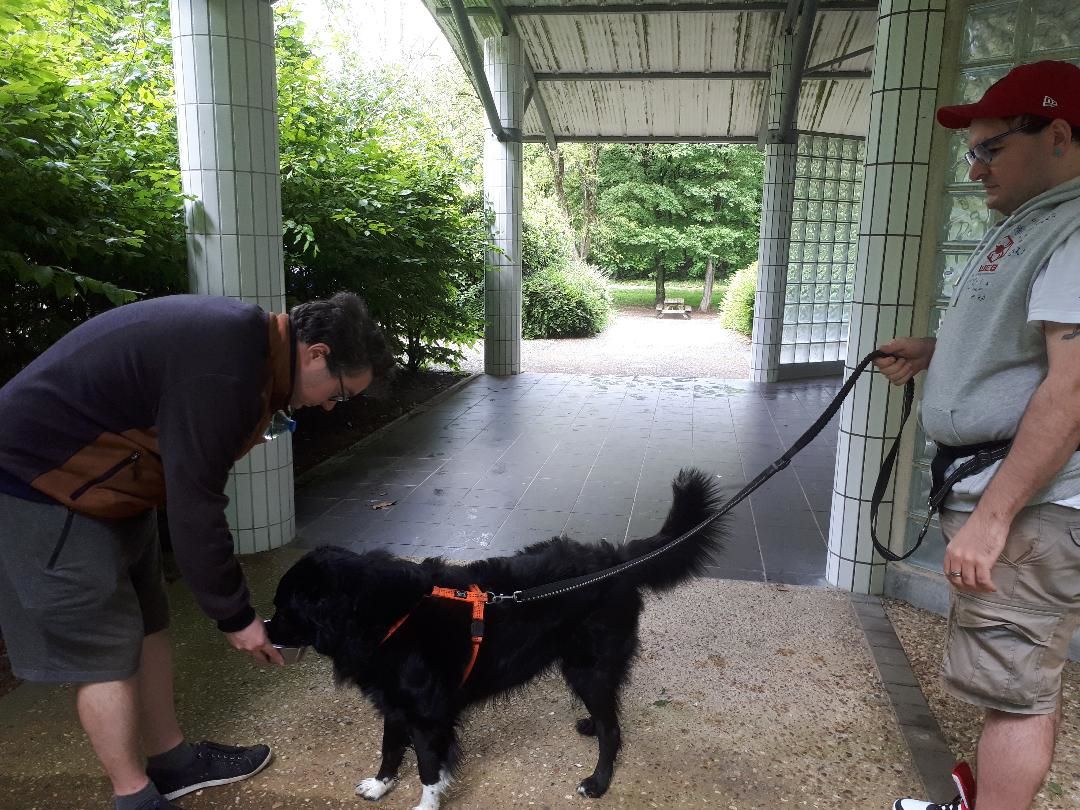 Lombron Aire de la champenterie Sarthe 72 boys et Rex may23