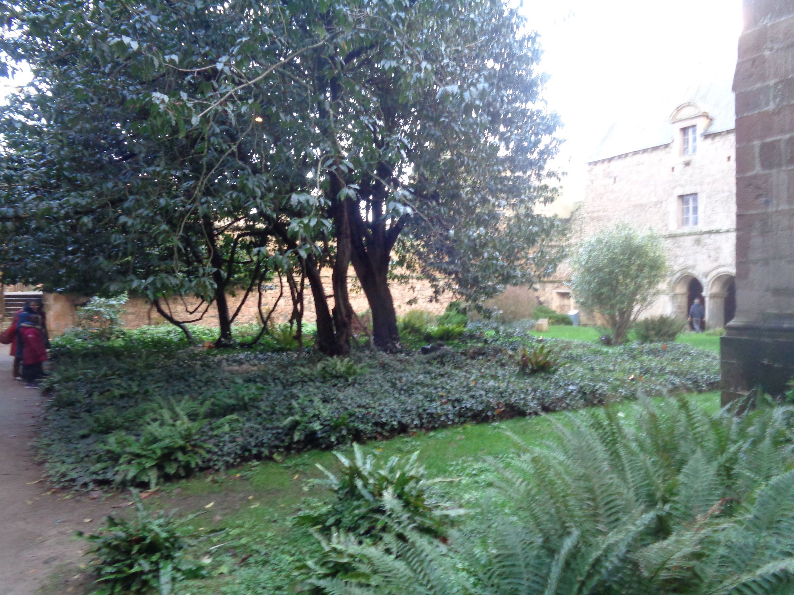 Paimpol Abbaye de Beauport cloister garden jan24
