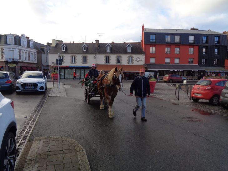Paimpol Quai Duguay Trouin horse carriage ride jan24