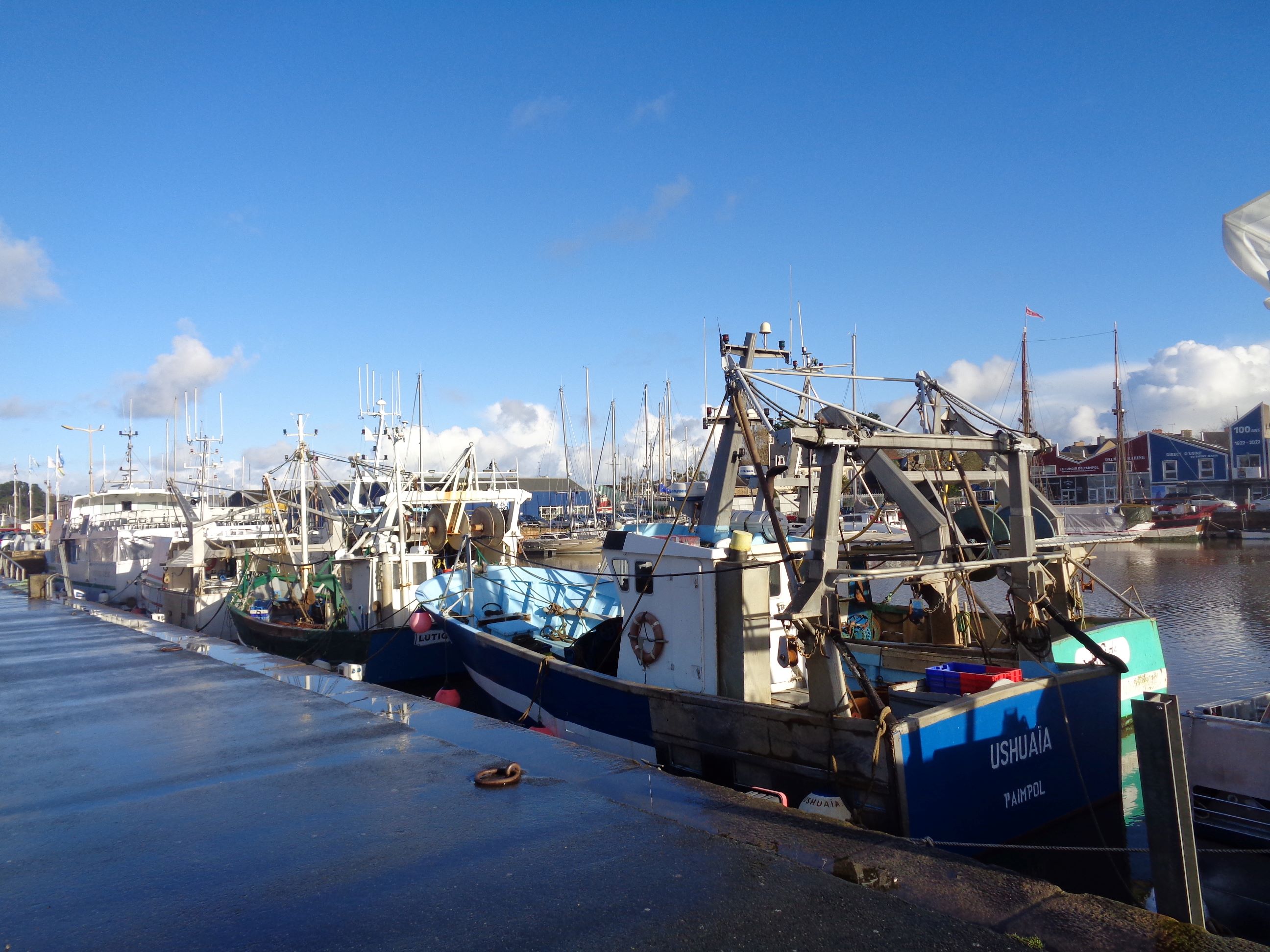 Paimpol quai Duguay Trouin port fishing jan24