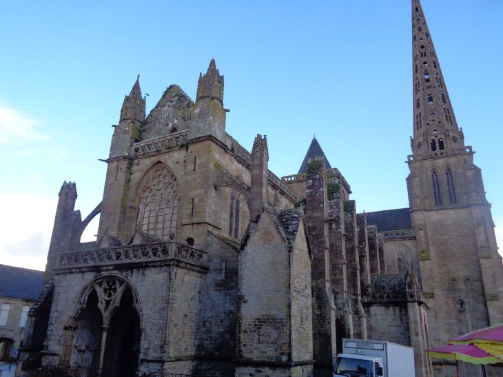 Treguier Cat Saint Tugdual back out jan24