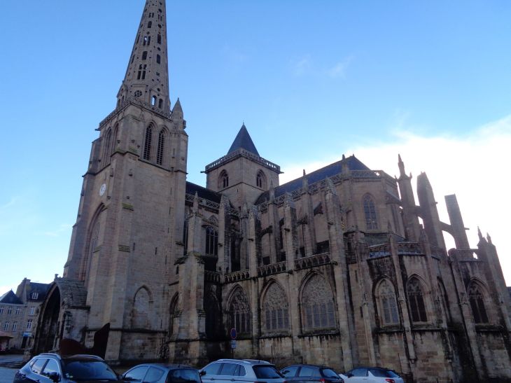 Treguier Cat Saint Tugdual front jan24