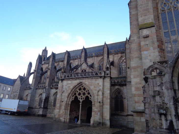 Treguier Cat Saint Tugdual side left out jan24