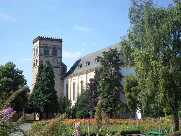 SAMSUNG CAMERA PICTURES