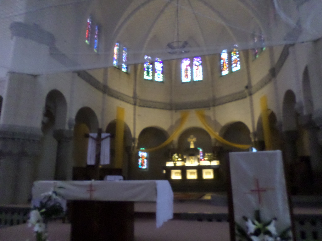 SAMSUNG CAMERA PICTURES