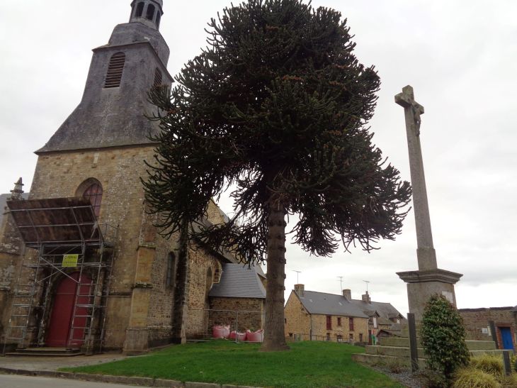 Visseiche ch Saint Pierre front et calvaire passing feb24