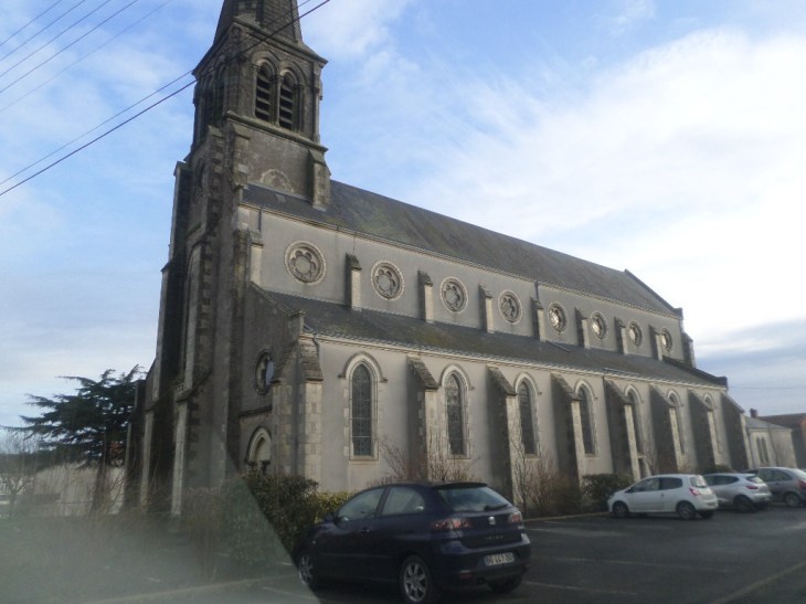 SAMSUNG CAMERA PICTURES