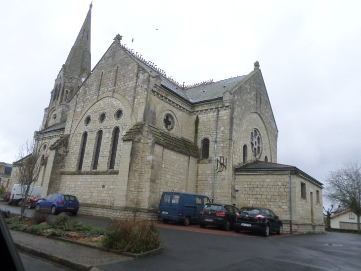 SAMSUNG CAMERA PICTURES