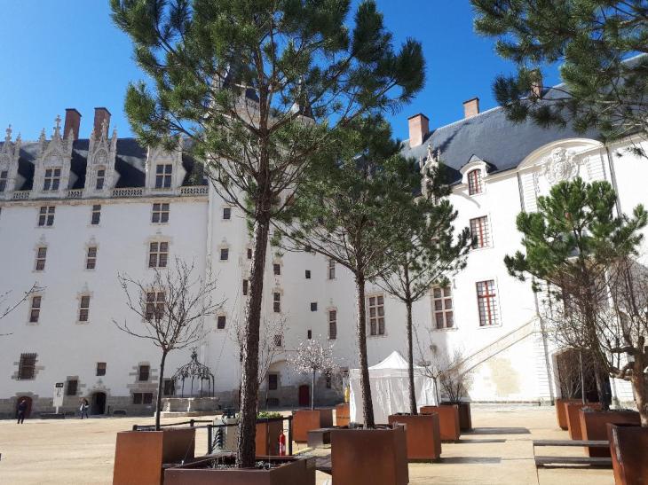 Nantes chateau ducs de bretagne courtyard trees mar24