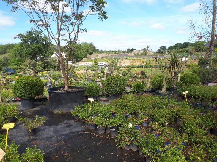 Ploeren pep penhouet plants hilly may18