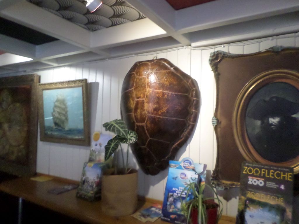 st-malo-bistrot-de-cartier-torture-shell-aug20