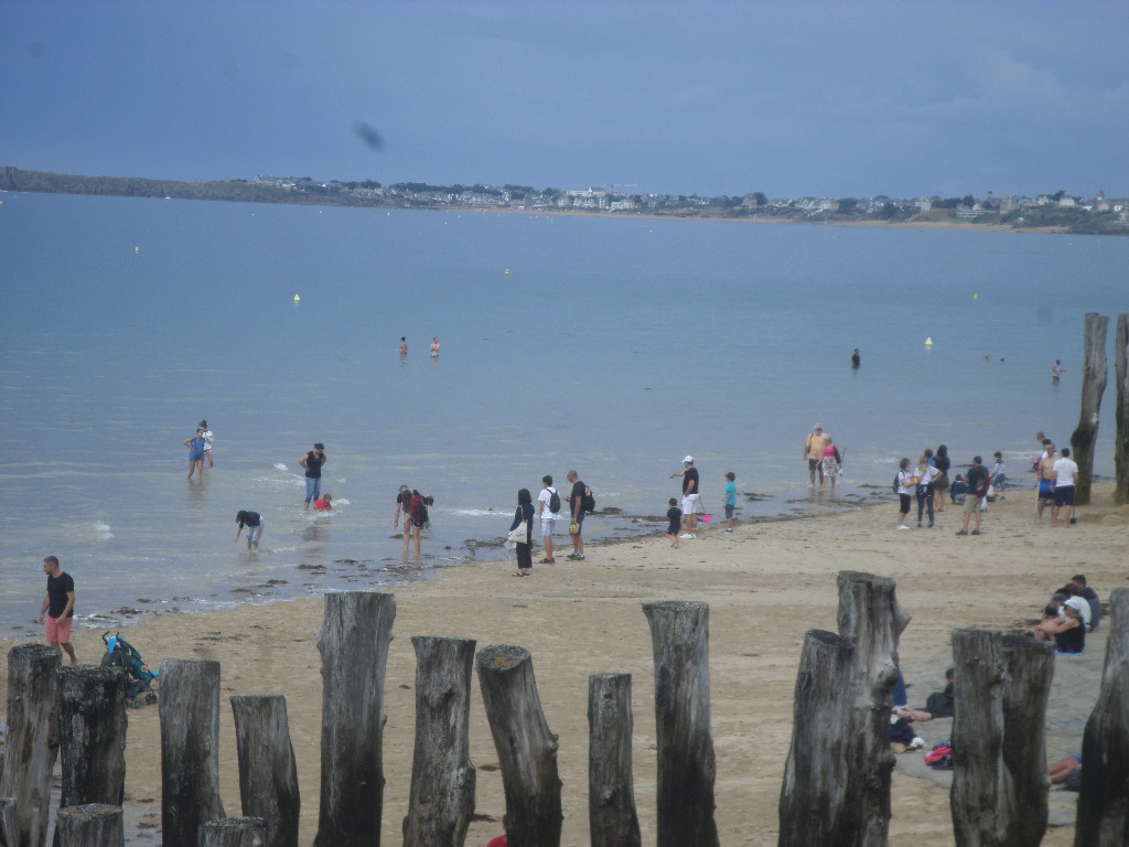 SAMSUNG CAMERA PICTURES