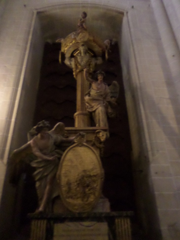 SAMSUNG CAMERA PICTURES