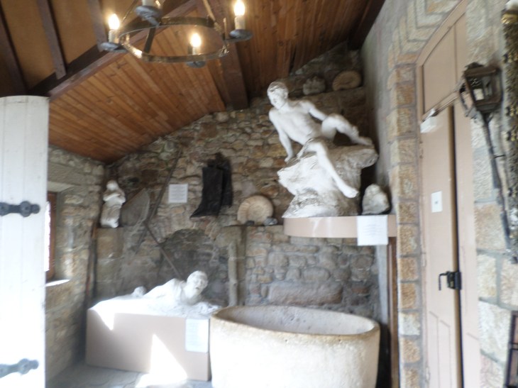 SAMSUNG CAMERA PICTURES