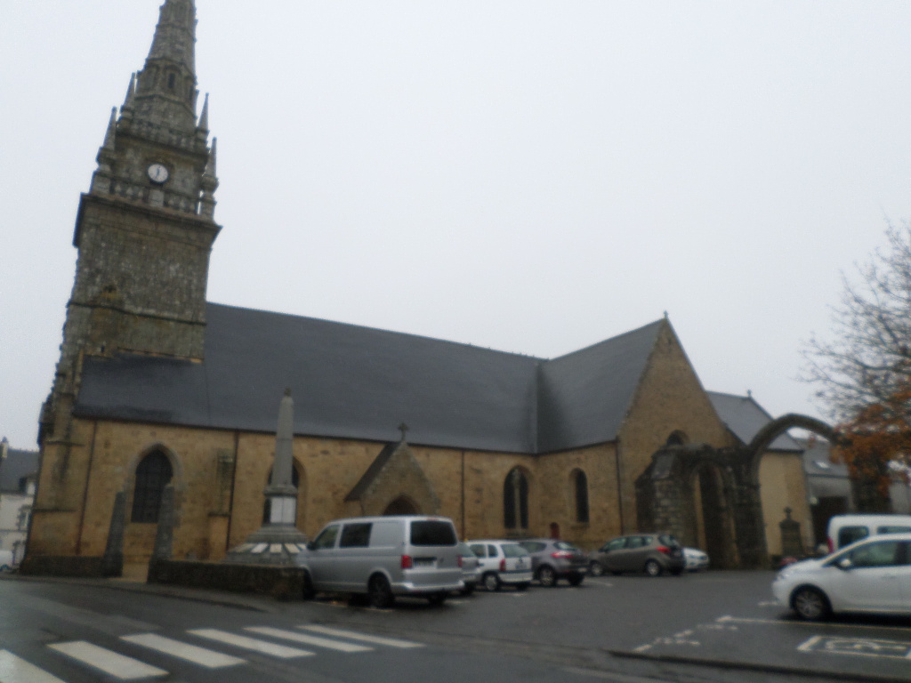 SAMSUNG CAMERA PICTURES