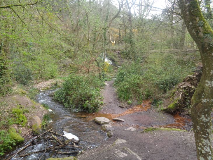 Trehorenteuc Arbre d'Or stream afar apr24