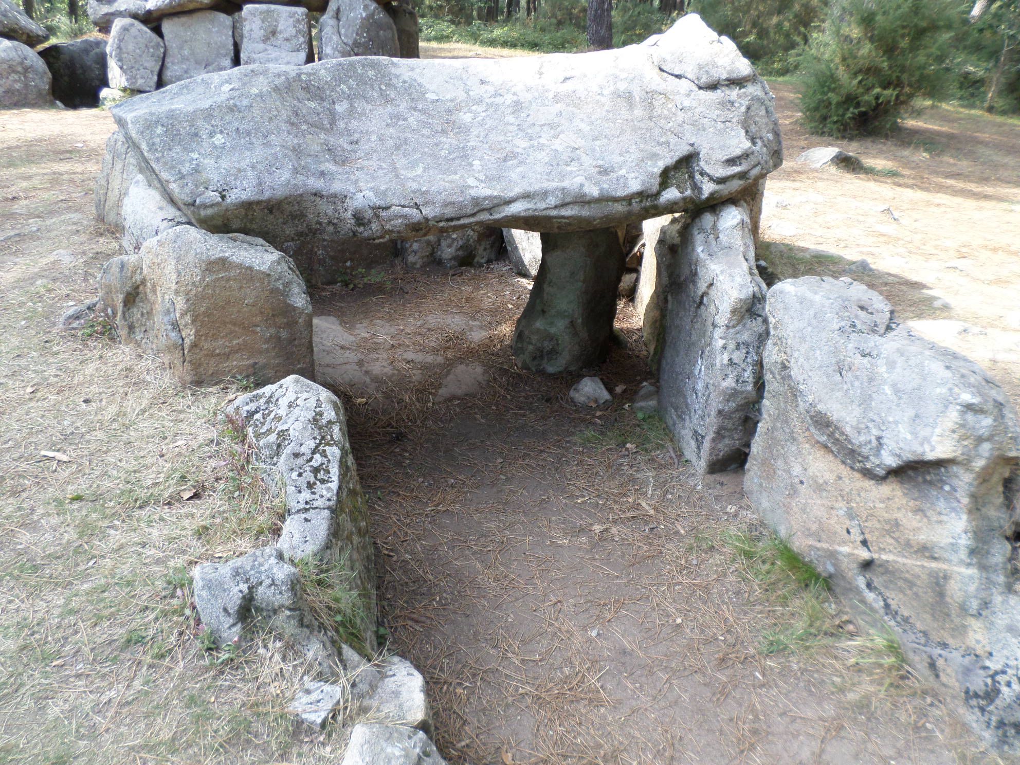 SAMSUNG CAMERA PICTURES