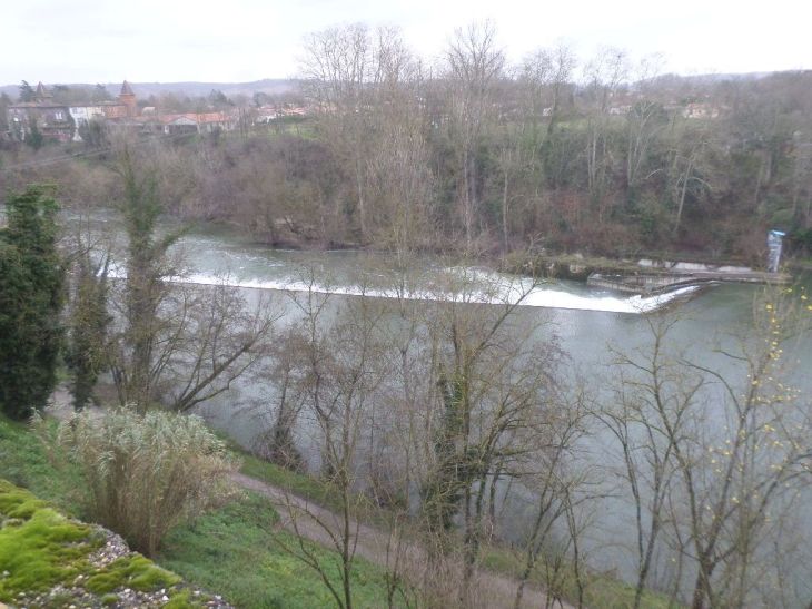 lavaur-l-agout-river-levies-fr-park- jan20