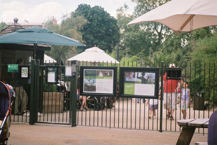 london Kensington gardens Princess Diana memorial park jul10