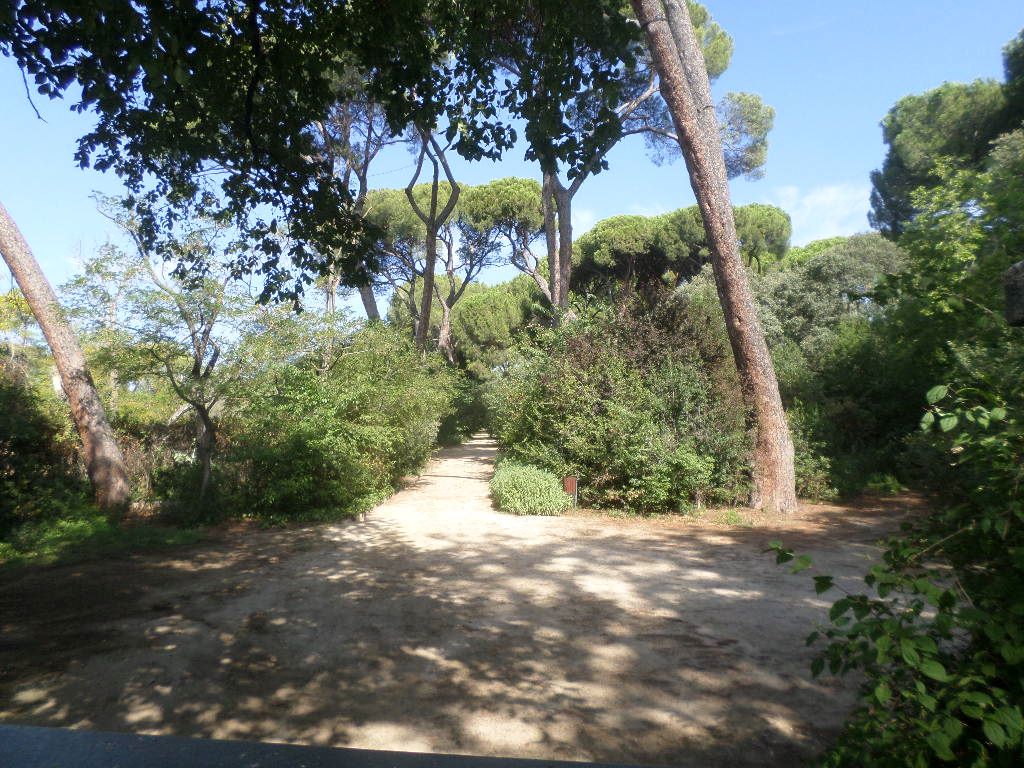 madrid-el-capricho-park-trails aug19