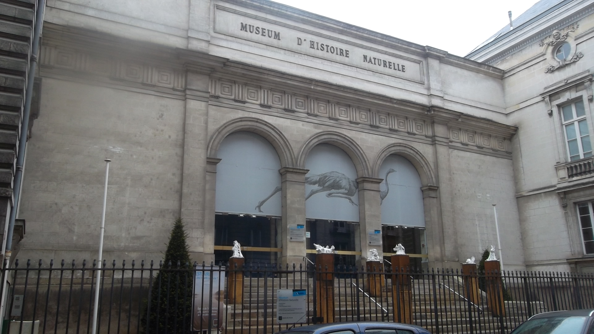 nantes-musc3a9e-dhistoire-naturelle-12-rue-voltaire-my13