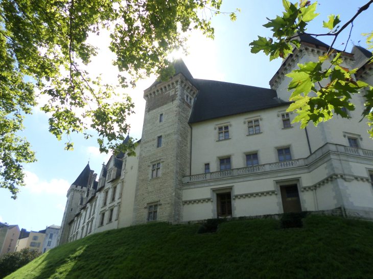 SAMSUNG CAMERA PICTURES