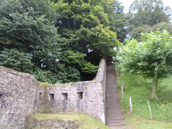 SAMSUNG CAMERA PICTURES