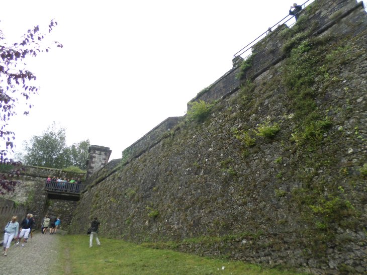 SAMSUNG CAMERA PICTURES