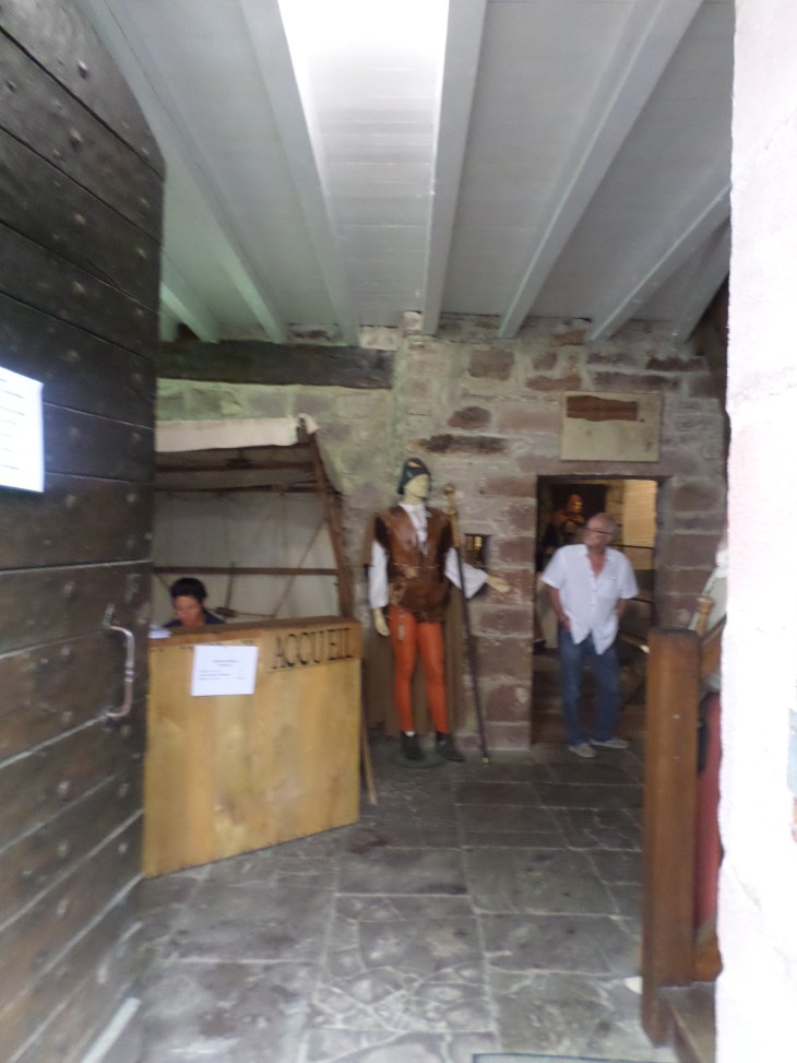 SAMSUNG CAMERA PICTURES