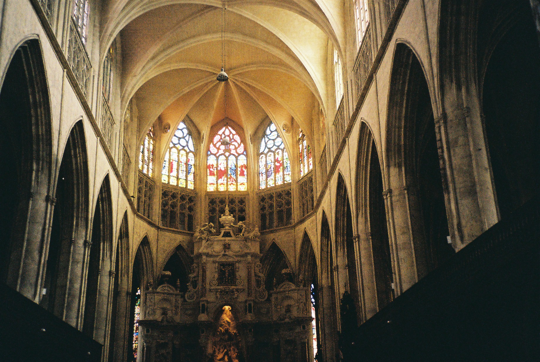 toulouse-cat-st-etienne-ceilings