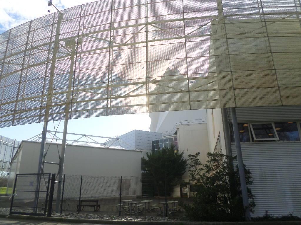 SAMSUNG CAMERA PICTURES