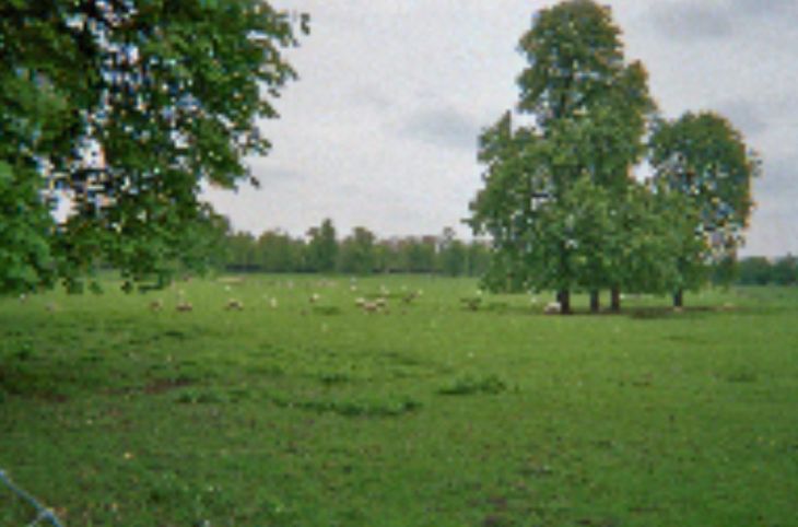 Versailles castle allée Saint Antoine Apr11