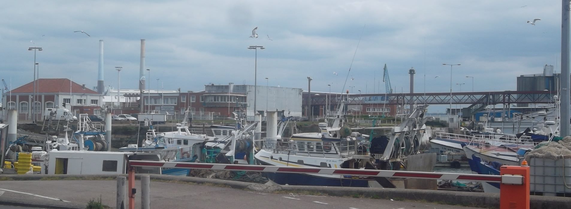 Le Havre fishing port my13