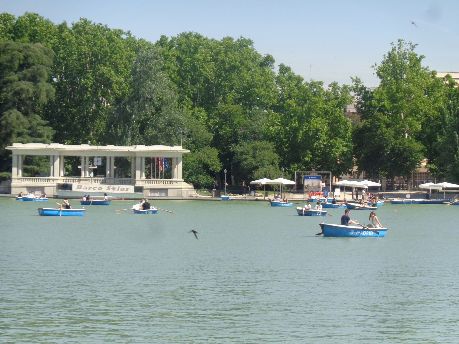 Madrid Retiro park estanque boats embarcadere jun24