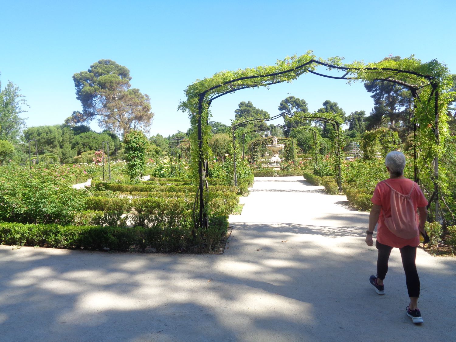 Madrid Retiro park rosaleda back jun24