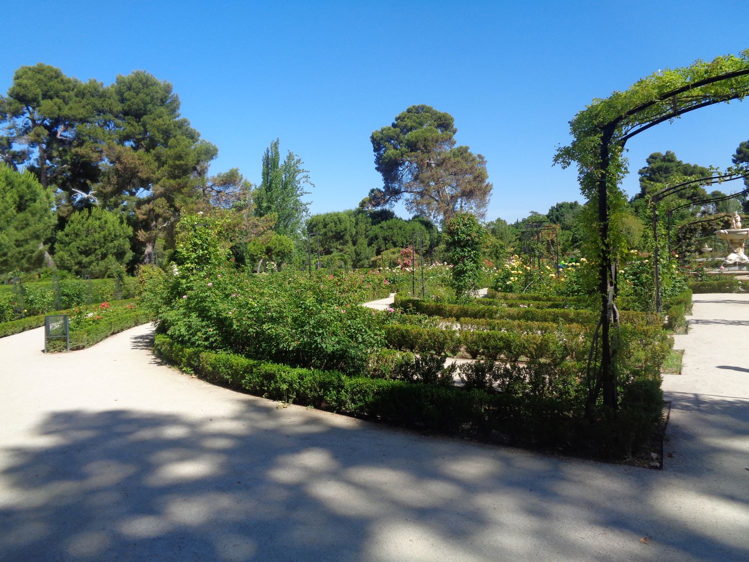 Madrid Retiro park rosaleda side jun24