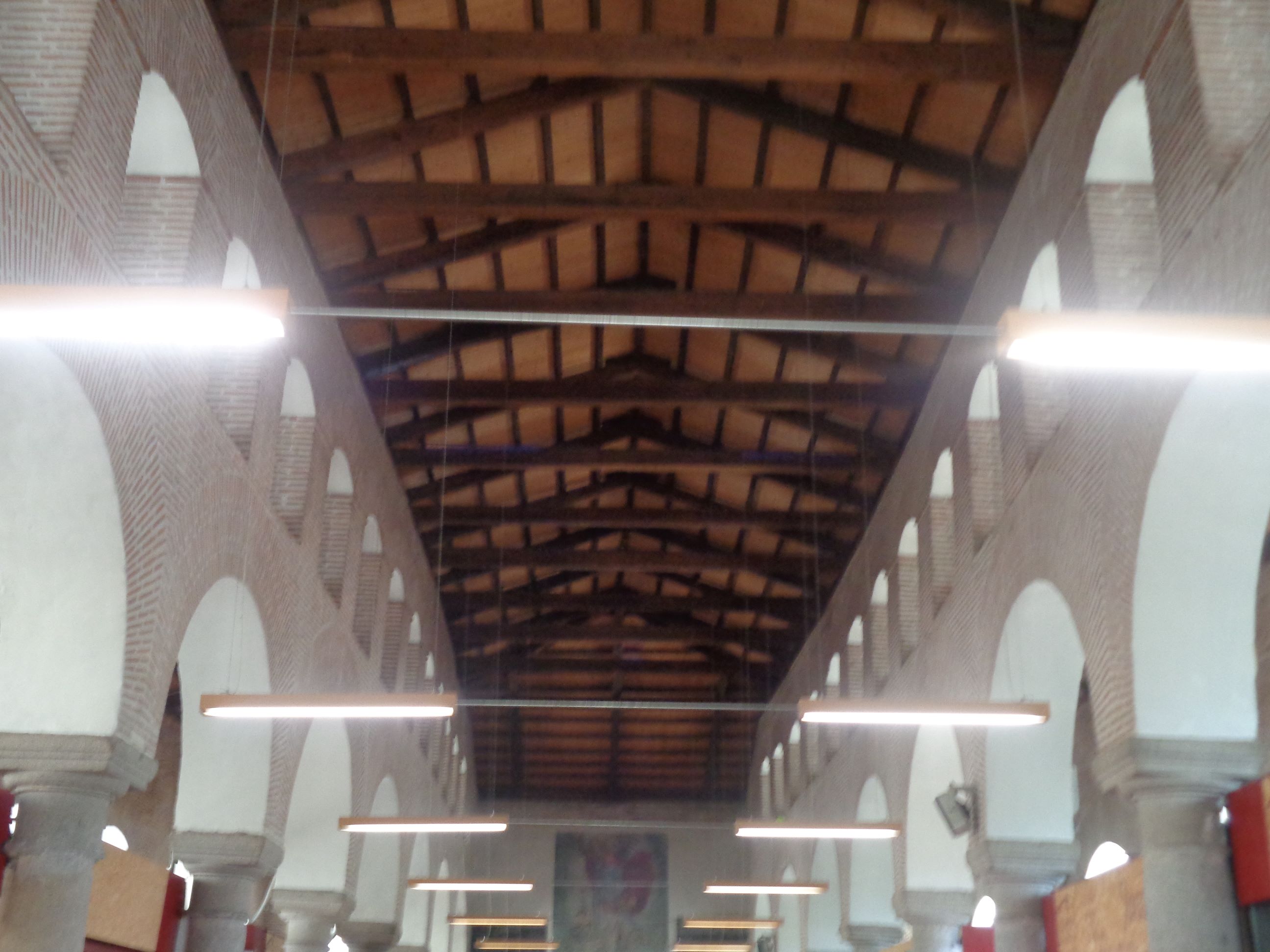 Medina del Campo Reales Carniceria market ceiling jun24
