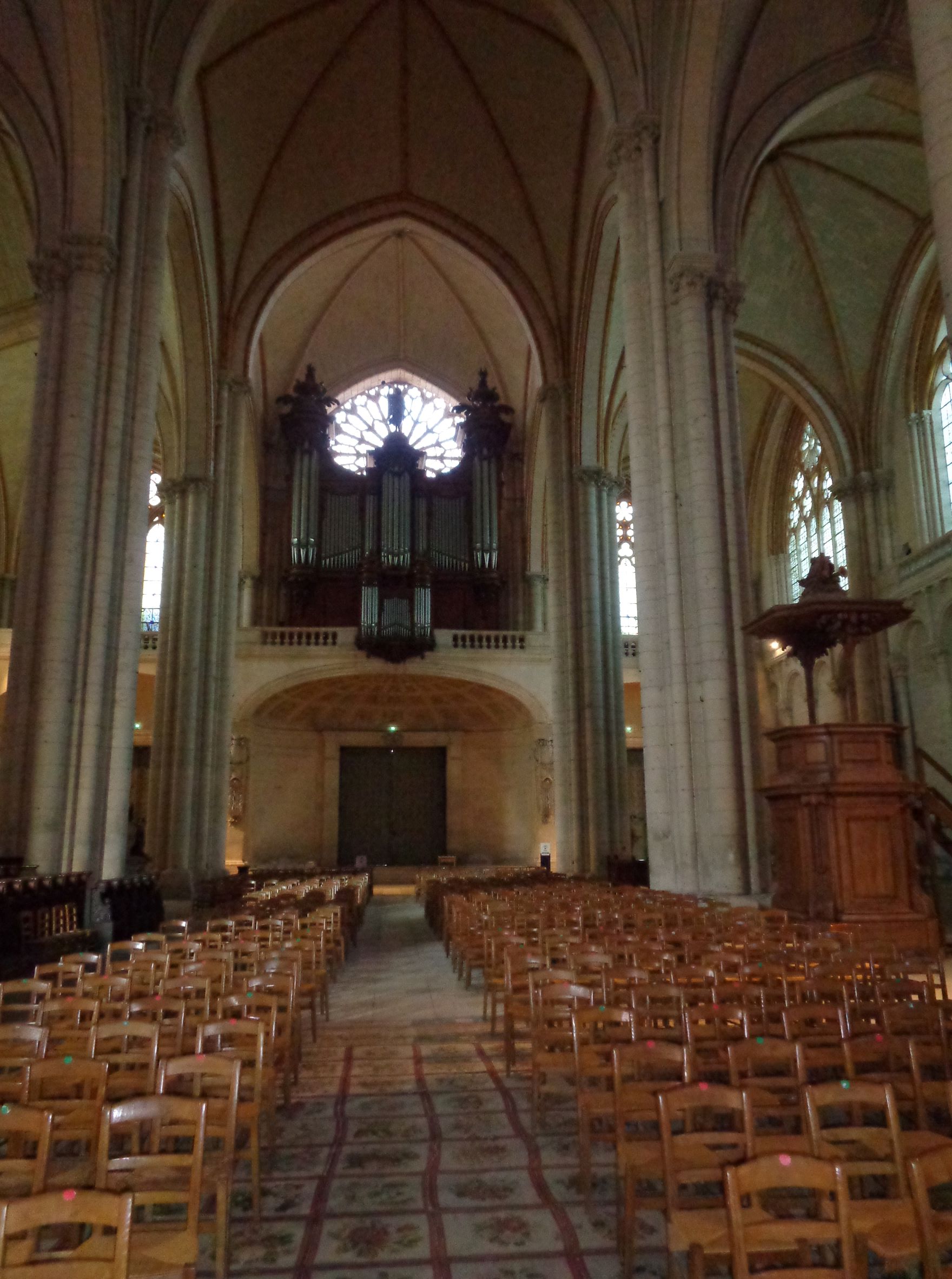 Poitiers cat st pierre nave to grand organ oct21