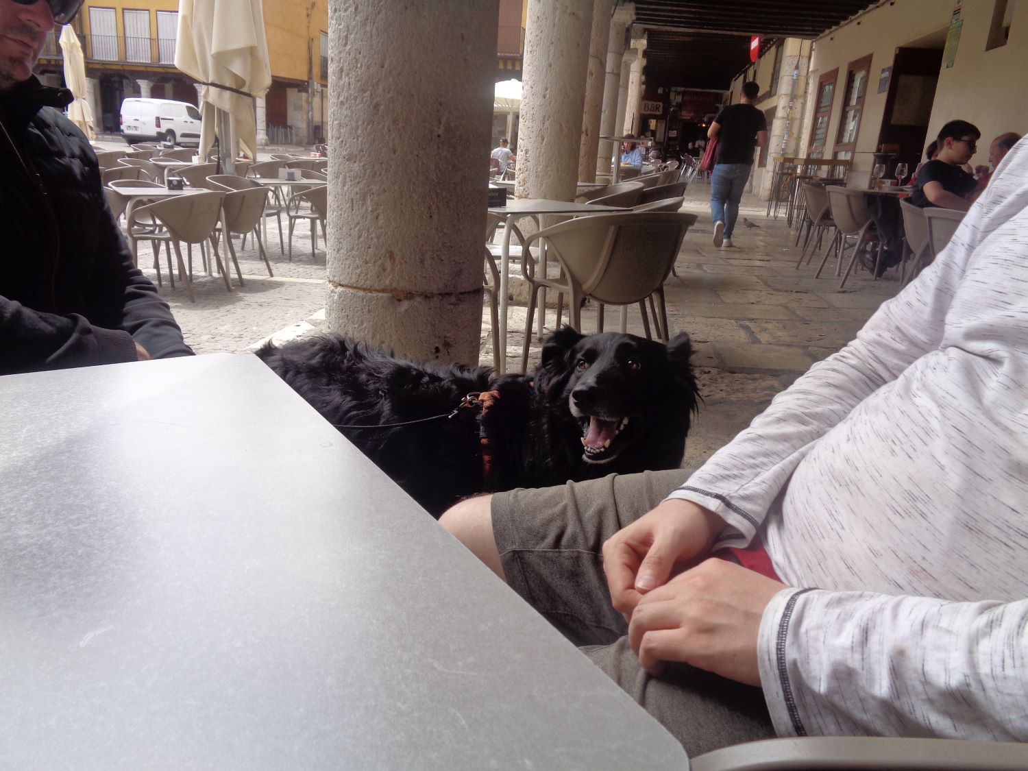 Tordesillas Heladeria Baonza Rex next NF pl mayor jun24