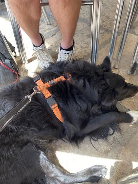 Tordesillas resto Nuestro Sitio et Rex jun24