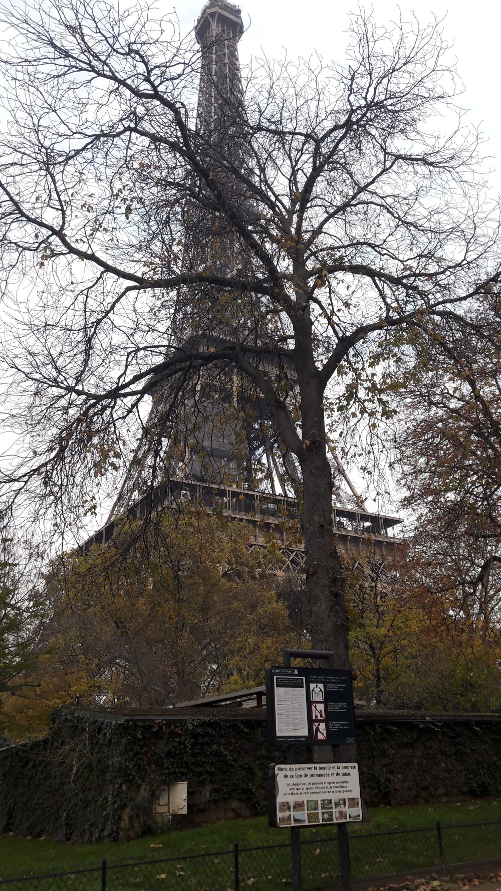 paris-eiffel-tower-from-garden-at-quai-branly-nov17